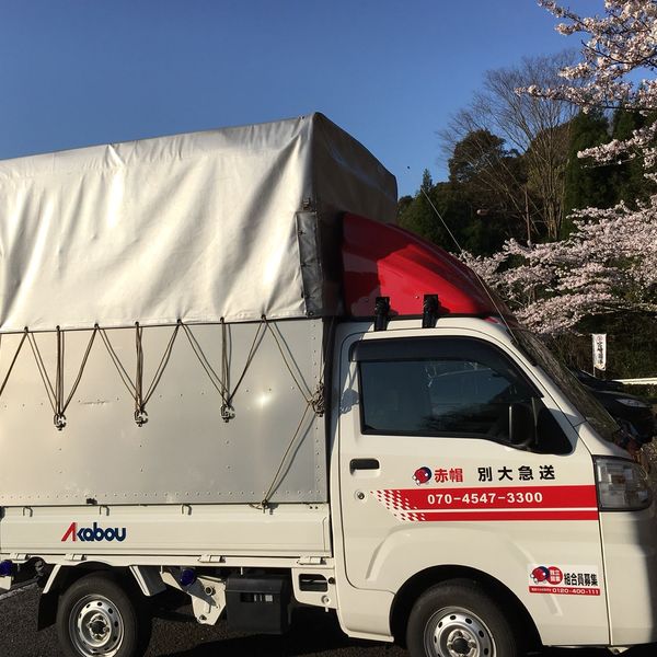大分でチャーター便を使用し即日でお届けしています